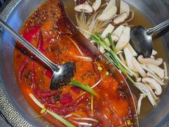 -辣伍鲜毛肚老火锅(元一店)