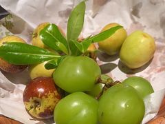 -季季山·云南野生菌火锅(上海首店)