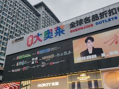 -盛京大奥莱(沈阳奥体店)