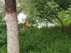 -石家庄市动物园