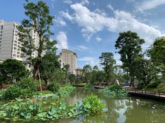 -广州市石门国家森林公园