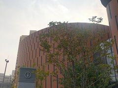 -中国宋庆龄青少年科技文化交流中心