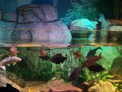 -沈阳海洋探索中心