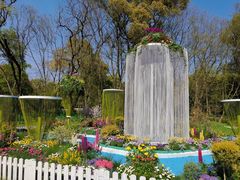 -上海共青森林公园