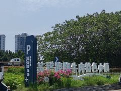 -小杨翘脚牛肉