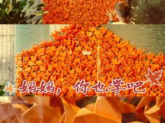 -阳澄湖半岛旅游度假区