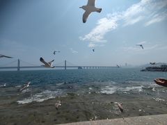 -星海广场