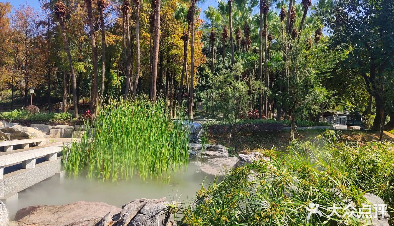 大美新会北园公园