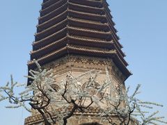 -玲珑塔公园