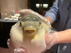 -肆月河豚·淮扬菜·湘菜(华天店)