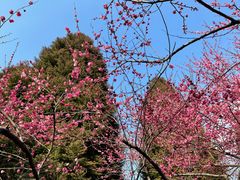 -白塘生态植物园