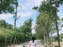 -田心森林公园
