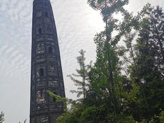 -上海佘山国家森林公园天马山园