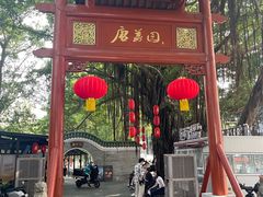 -侨美·唐荔园·40年地道粤菜