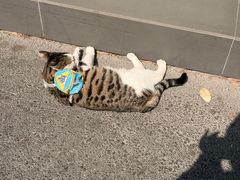 -鲜味烧卖店(斜西街店)