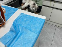 -达爱动物医院·犬猫分区·CT·复杂眼科(远洋山水分院)
