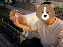 -廊坊固安福朋喜来登酒店