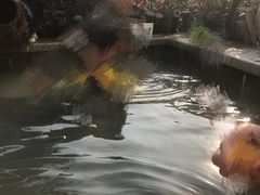 -郑州银基黄帝宫御温泉