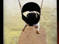 -枫香湖儿童公园