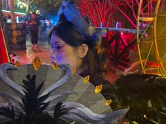 -郑州方特梦幻王国