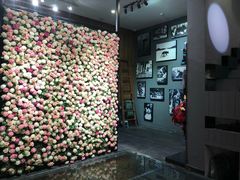 -百好乐宠物友好餐厅(朝外大街店)