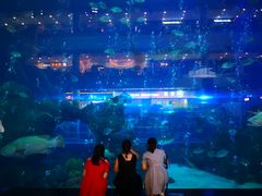 -成都浩海立方海洋公园