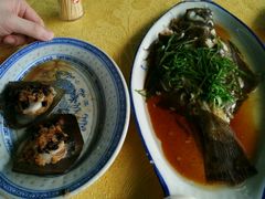 蒸野生鱼-龙溪海鲜酒家(溪涌店)