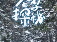 -长春市南湖公园