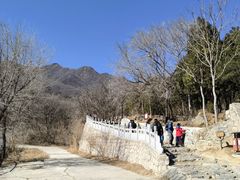 -阳台山自然风景区