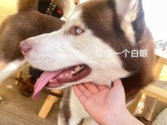 -海底捞火锅(漕宝路店)