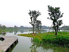 -白鹭湾湿地公园