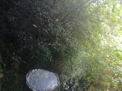 -广东大峡谷