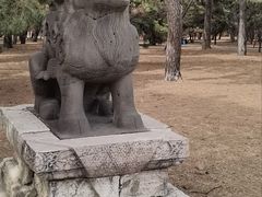 -北陵公园