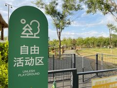 -爪吧宠物乐园·宠物泳池(温榆河示范区店)