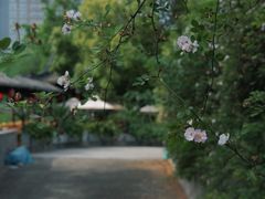 -龙潭水乡