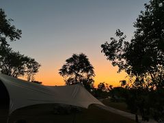 -春花秋色城市公园