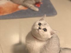 -杨箕村B区