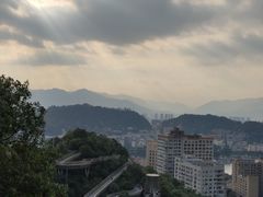 -福道