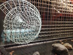 -青螺餐厅·家宴(松雅湖店)