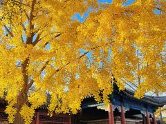 -北京石刻艺术博物馆(五塔寺)