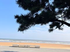 -日照海滨国家森林公园