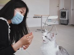 -怪兽屋·羊驼·猫咖·狗咖(俊华广场店)