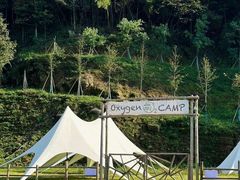 -长沙黑麋峰国家森林公园