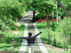 -青龙山国家森林公园