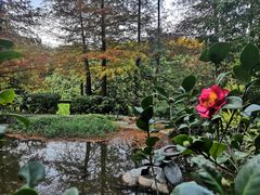 -深圳国际园林花卉博览园