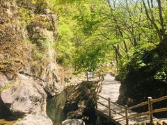-牛背梁国家森林公园