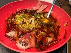 -曼格纳·曼芯馆(杨浦店)