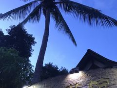 -纳兰傣雀傣味餐厅