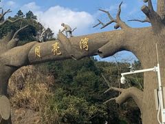-梅岭月亮湾山体公园
