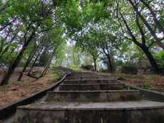-火炉山森林公园